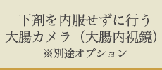 下剤を内服せずに行う大腸カメラ（大腸内視鏡）※別途オプション