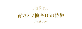 胃カメラ検査10の特徴