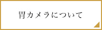 胃カメラについて