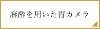 麻酔を用いた胃カメラ