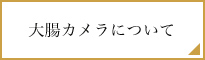 大腸カメラについて