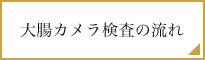 大腸カメラ検査の流れ