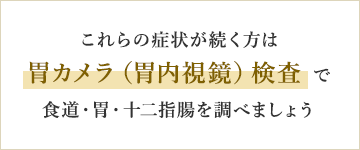 これらの症状が続く方は 胃カメラ（胃内視鏡）検査 で 食道・胃・十二指腸を調べましょう